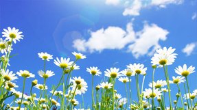 幸福の科学の間違いを指摘するつもりだった私が幸福の科学に入信した理由―うつ病が完治【体験談】