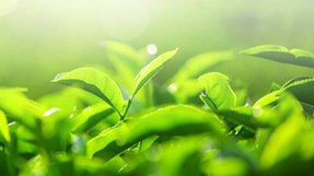 膀胱がんを克服 原因は「心の毒」だった!?【幸福の科学 信仰体験】
